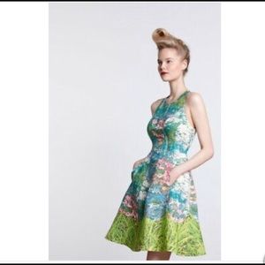 Anthropologie Tracy Reese Monet Garden dress sz 2